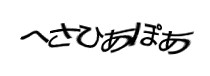 Authentication image