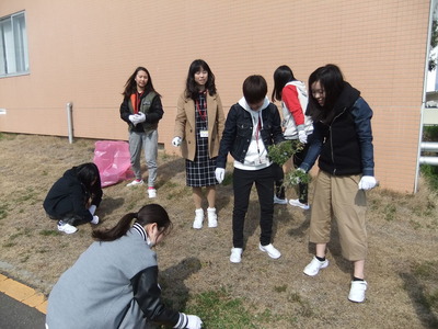 DSCF3013
