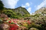 三船山　つつじ