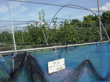 DSC00410