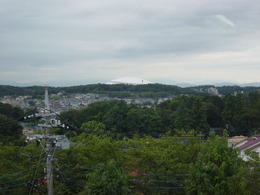 DSC00487
