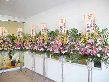 DSCN0330