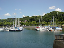 DSC00163