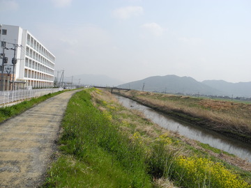 DSCN0288