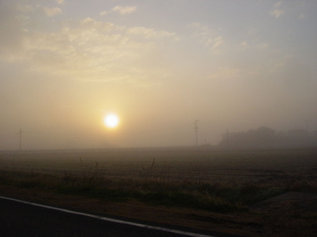 DSC00793