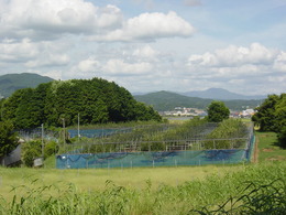 DSC00402
