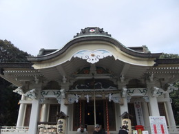 DSCF3569