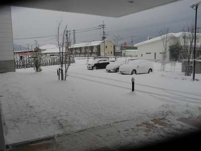 DSCN7873