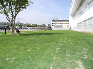 DSCN0363