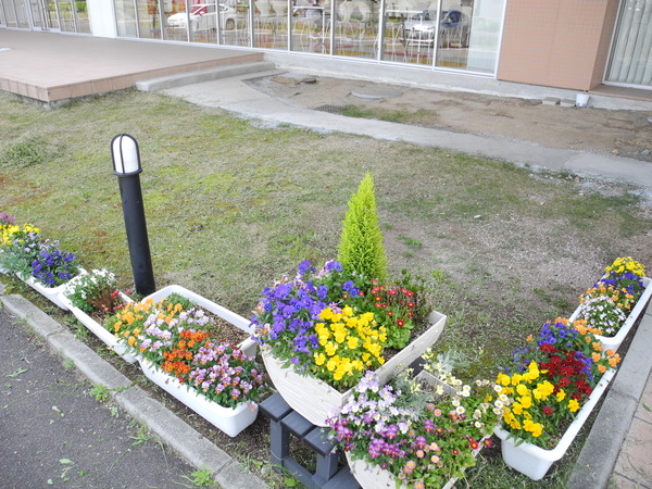 DSCN4345