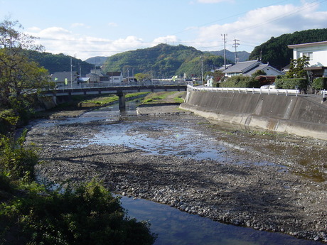 DSC00733