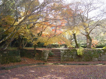 DSC00779