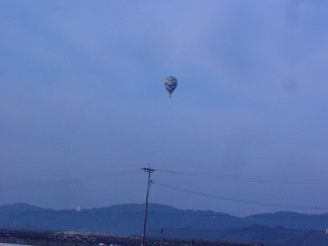 DSC00698