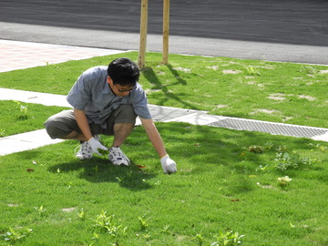 DSCN0361