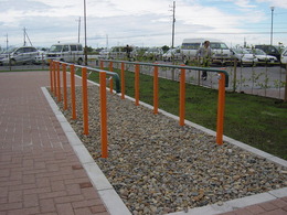 DSC00527
