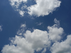 DSCN6536