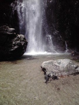 P1000007