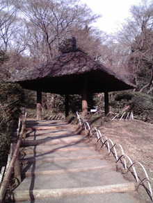 P1000221
