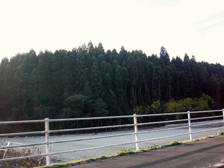 DSC00817コピー