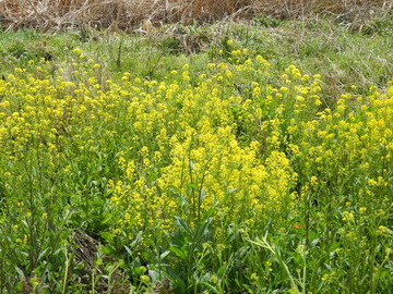 DSCN0291