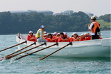 aa