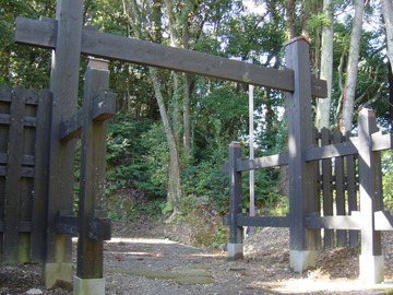 DSC00770