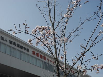 DSCN8637