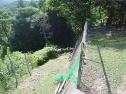 DSC00415
