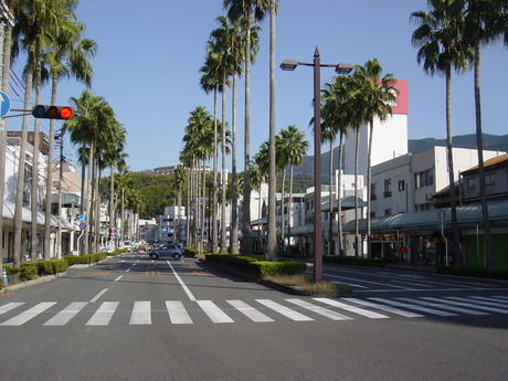 DSC00743
