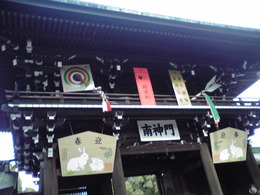 P1000217