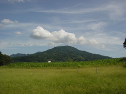 DSC00413