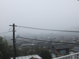 DSCF3553