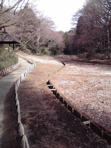 P1000220
