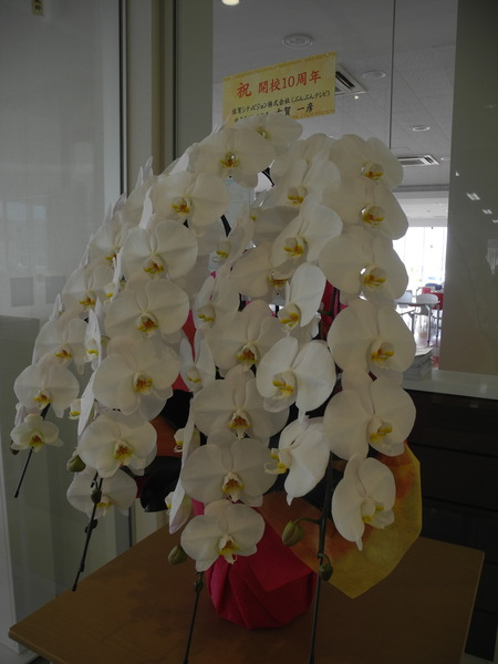 DSCN9302