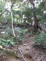 IMG_0059