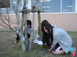 DSCN5942