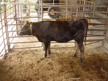 DSC00400
