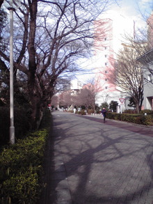 P1000195