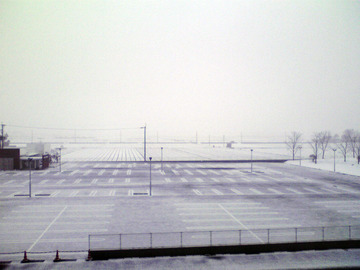 P1000200_copy
