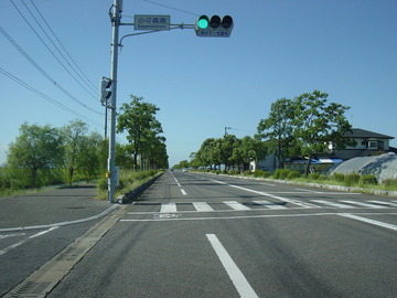 DSC00479