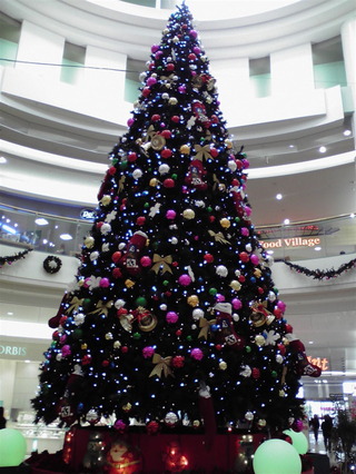 P1000193