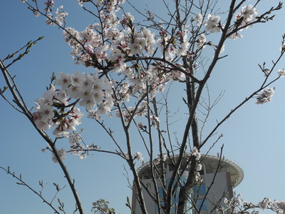 DSCN8635