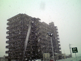 P1000196_copy