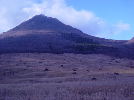 DSC00723
