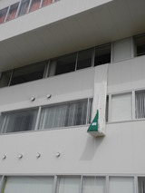 DSCN3106