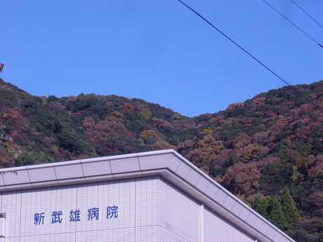 DSC00703