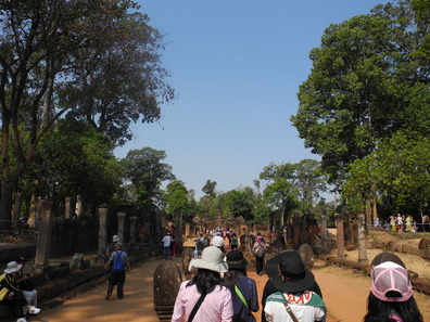 DSCN5080