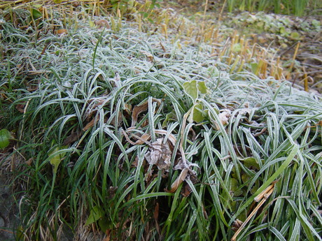 DSC00821