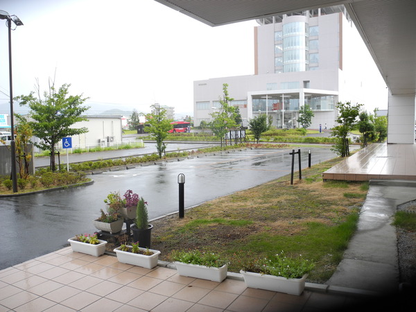 DSCN5367