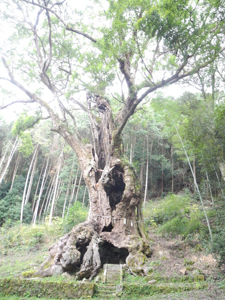 DSCN0093